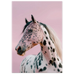 107d6456-f474-4556-9950-551088ae7dfe