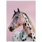 2f21775a-f8f4-4a24-85fb-86f779021933